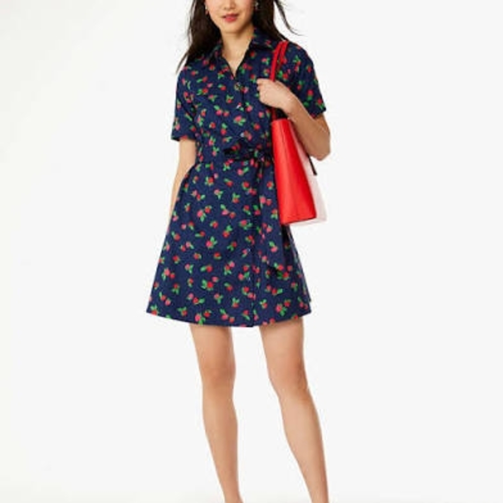Kate Spade Strawberry Dress